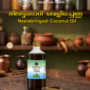 Neelibringadi Velichenna